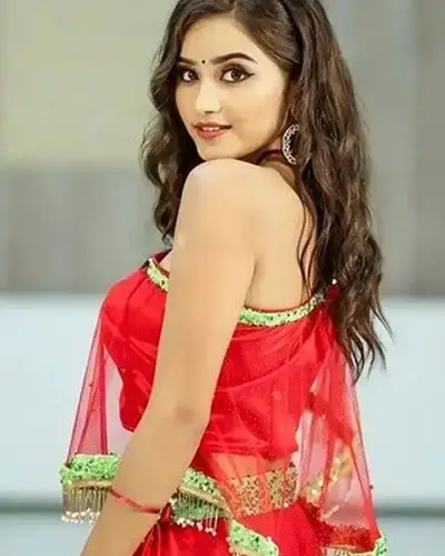Call Girls Service Didwana